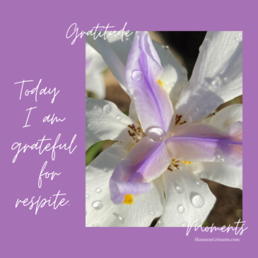 lily with text "Today Ia am grateful for respite"