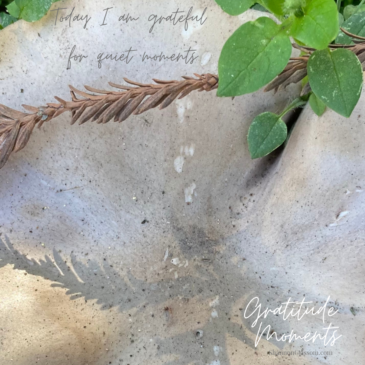 Over head shot of a mushroom. leaf and shadow with the text "Gratitude Moments Today I am grateful for quiet moments"