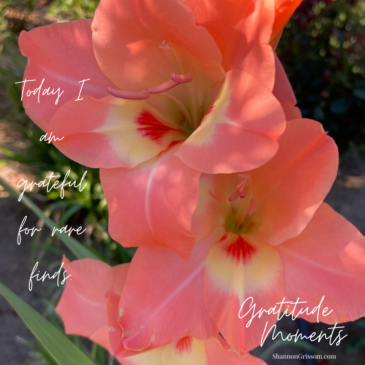 Peach gladiolas with the text Today I am grateful for Rare Finds, Gratitude Moments
