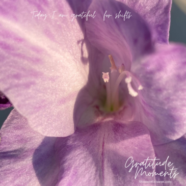 Close up of gladiolus and the text Today I am grateful for shifts, gratitude moments, ShannonGrissom.com